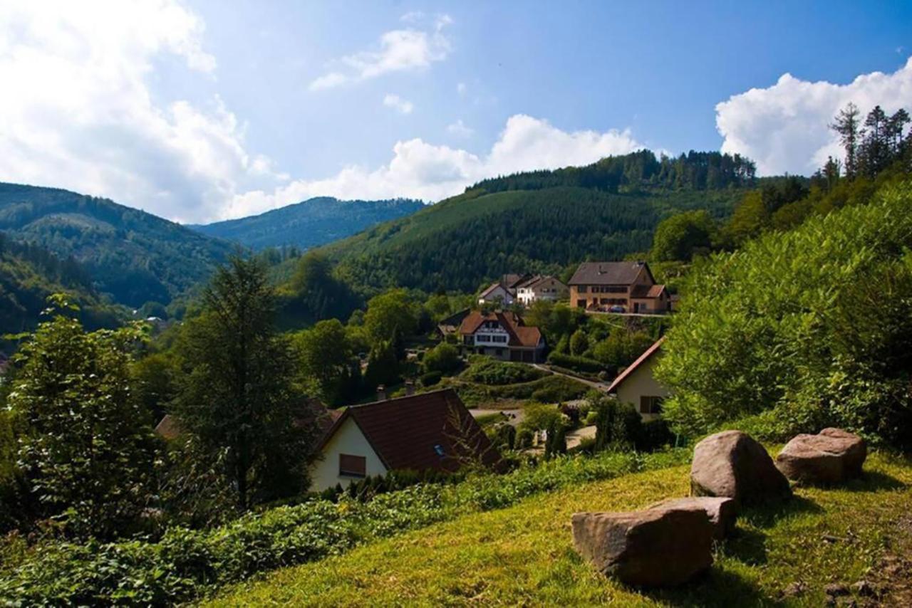 Maison Rurale En Bordure De Foret Schirmeck Exteriér fotografie