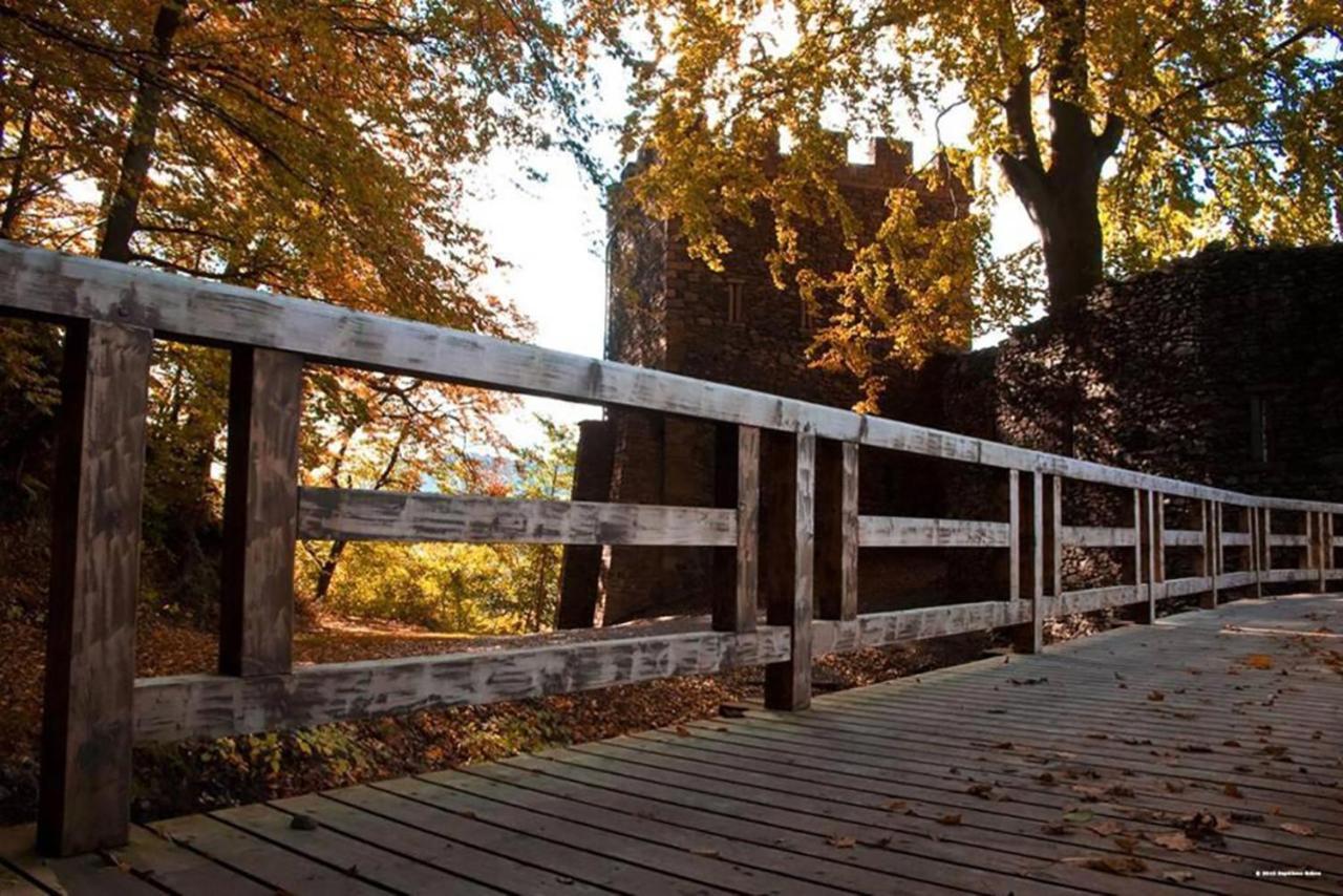Maison Rurale En Bordure De Foret Schirmeck Exteriér fotografie